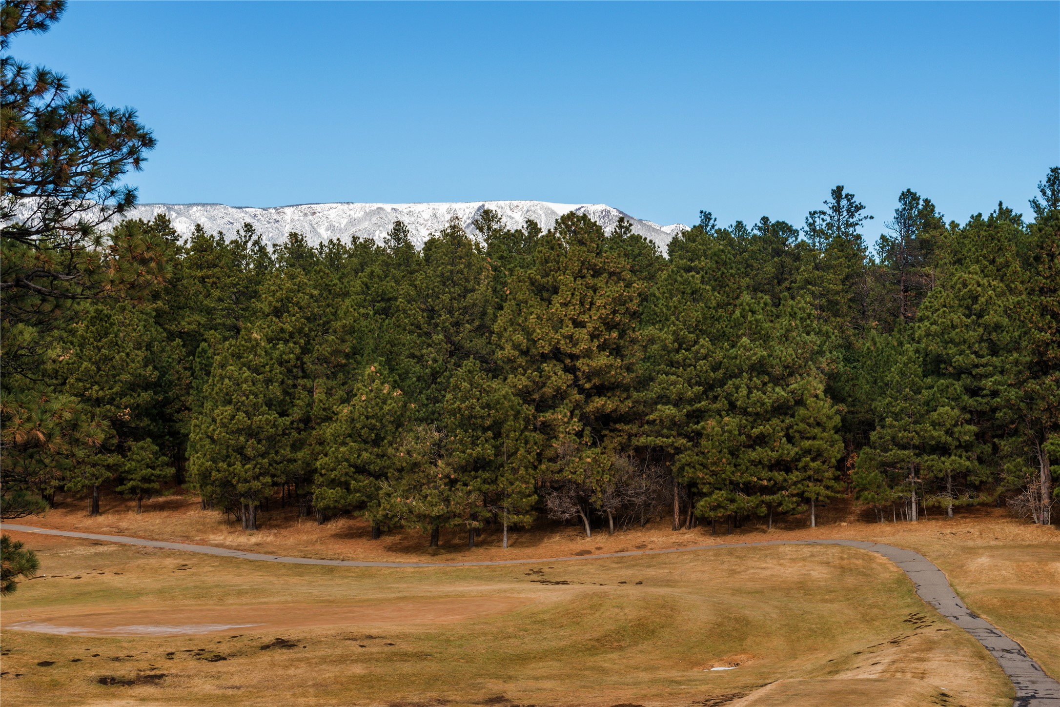 Lot 9 Corte Molina Rociada, NM 87742 - Photo 5 of 6