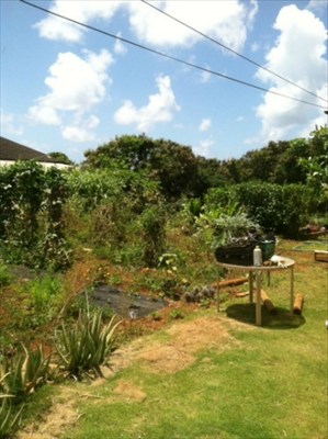 5027 Ohu Road Kapaa, HI 96746 - Photo 6 of 7