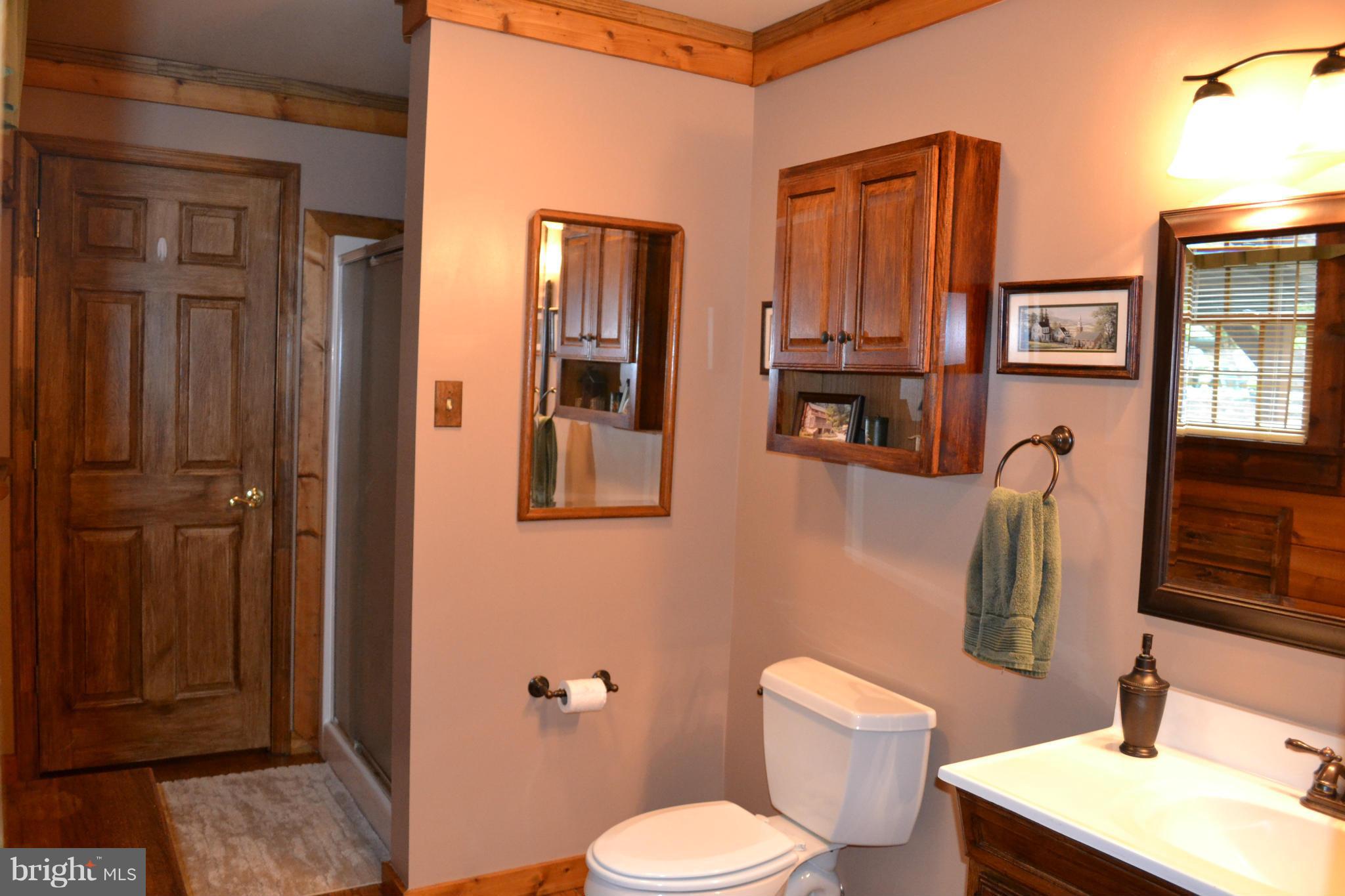 9023 Hawbottom Road Middletown, MD 21769 - Photo 12 of 27 Bath