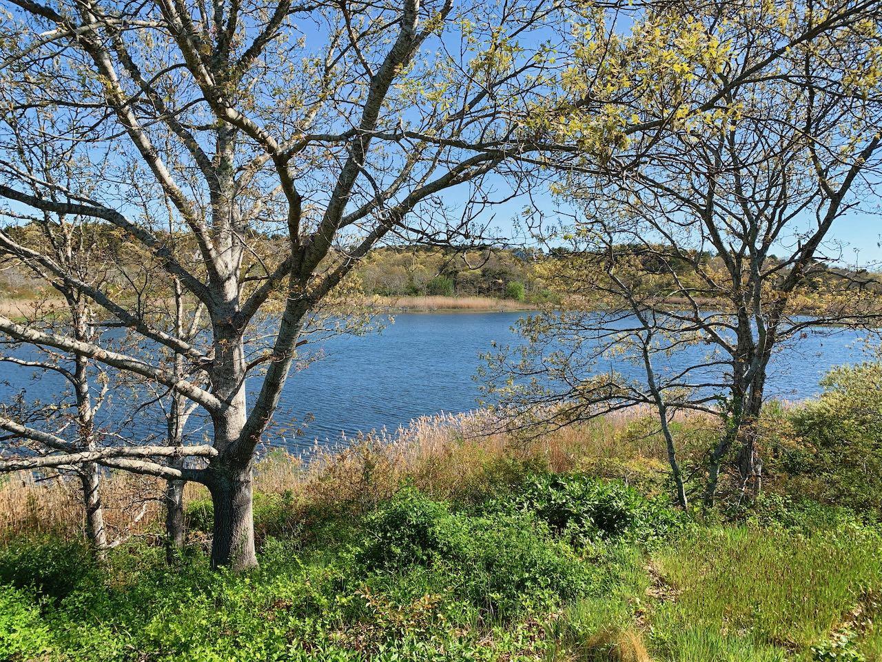 53 Depot Road Truro, MA 02666 - Photo 3 of 29 a view of a backyard of the house