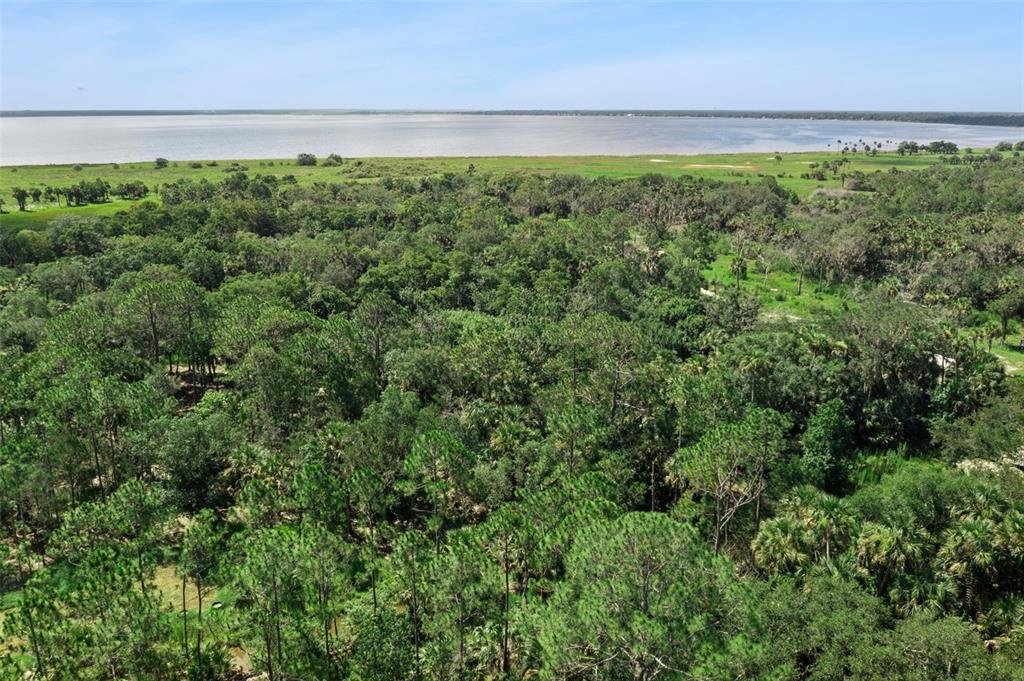 Canvasback Trail Geneva, FL 32732 - Photo 10 of 16