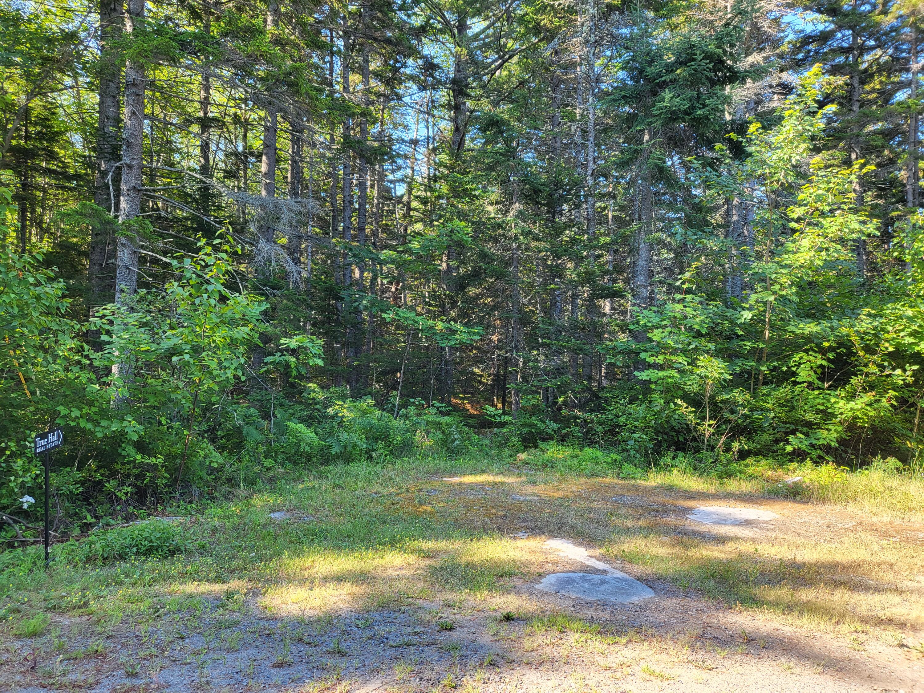 458 River Road Tenants Harbor, ME 04860 - Photo 1 of 1 20220715_085212
