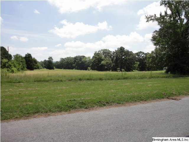 Greensport Road, Unit 7 Ashville, AL 35953 - Photo 3 of 8
