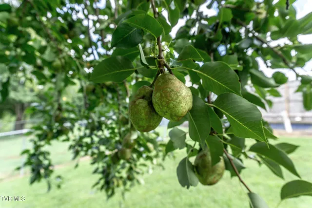 $285,500 | 153 Greene County Line Road, Chuckey, TN 37641