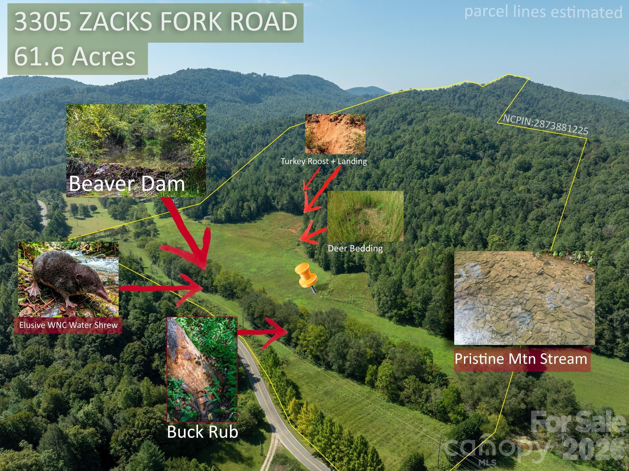 3305 Zacks Fork Road Lenoir, NC 28645 - Photo 17 of 48 Gallery Image 17