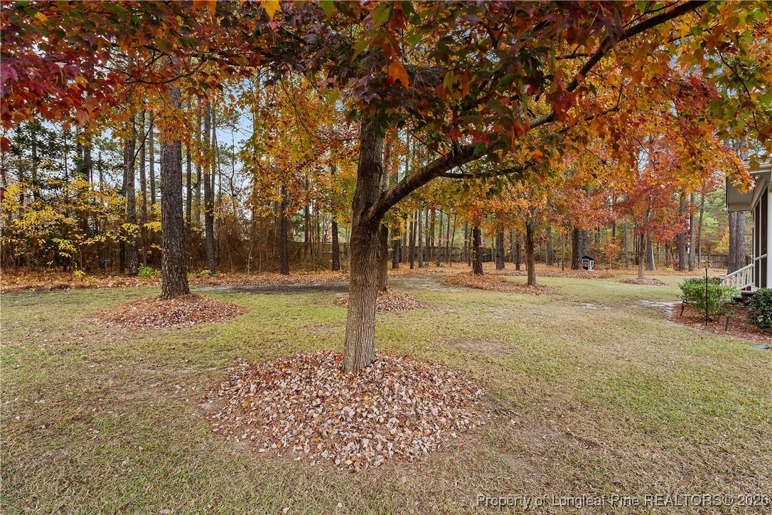 38 Overview Court Spring Lake, NC 28390 - Photo 48 of 50 a view of outdoor space with trees