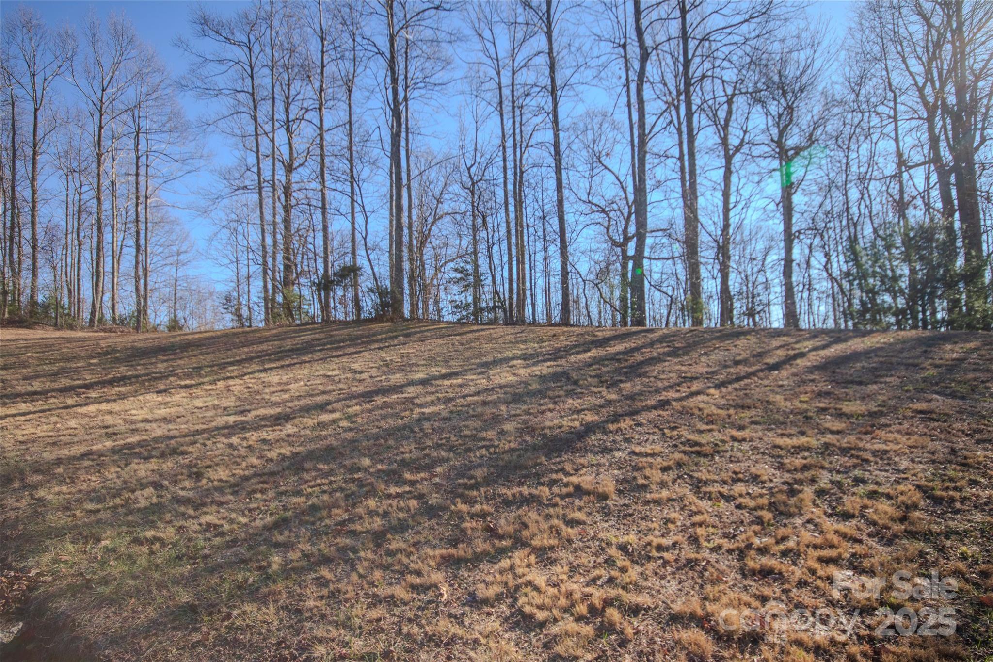 2223 Nighthawk Ridge Court, Unit 18 Lenoir, NC 28645 - Photo 3 of 8