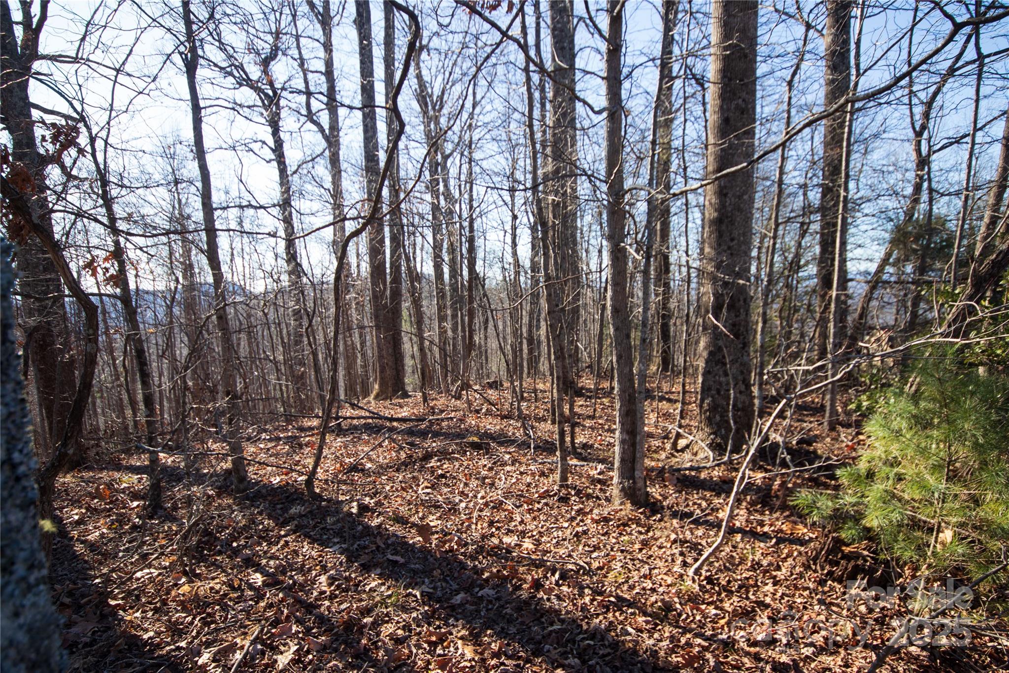 2223 Nighthawk Ridge Court, Unit 18 Lenoir, NC 28645 - Photo 4 of 8