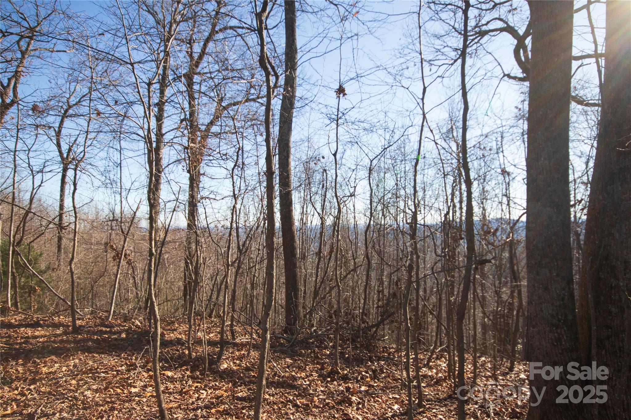 2223 Nighthawk Ridge Court, Unit 18 Lenoir, NC 28645 - Photo 5 of 8