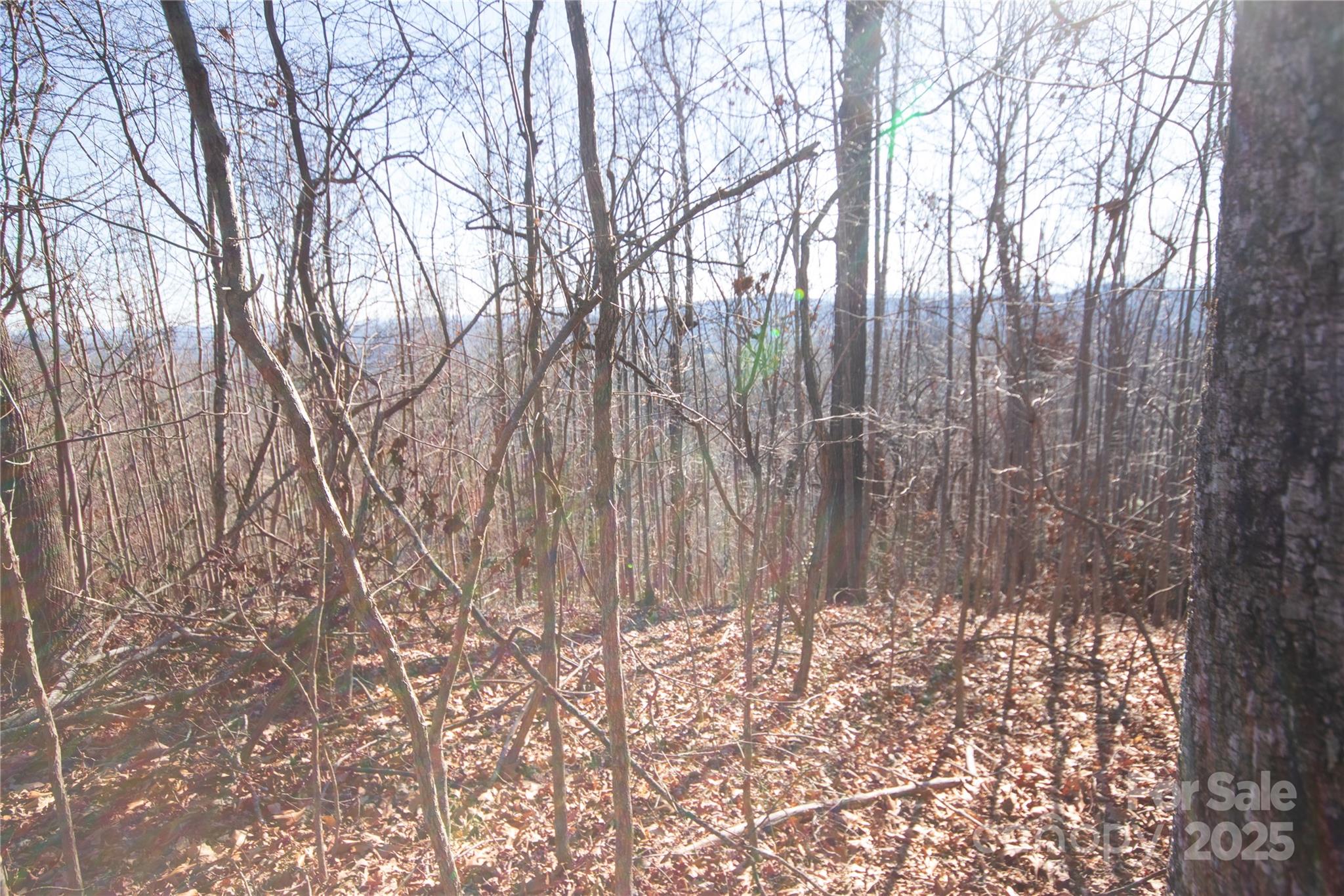 2223 Nighthawk Ridge Court, Unit 18 Lenoir, NC 28645 - Photo 6 of 8