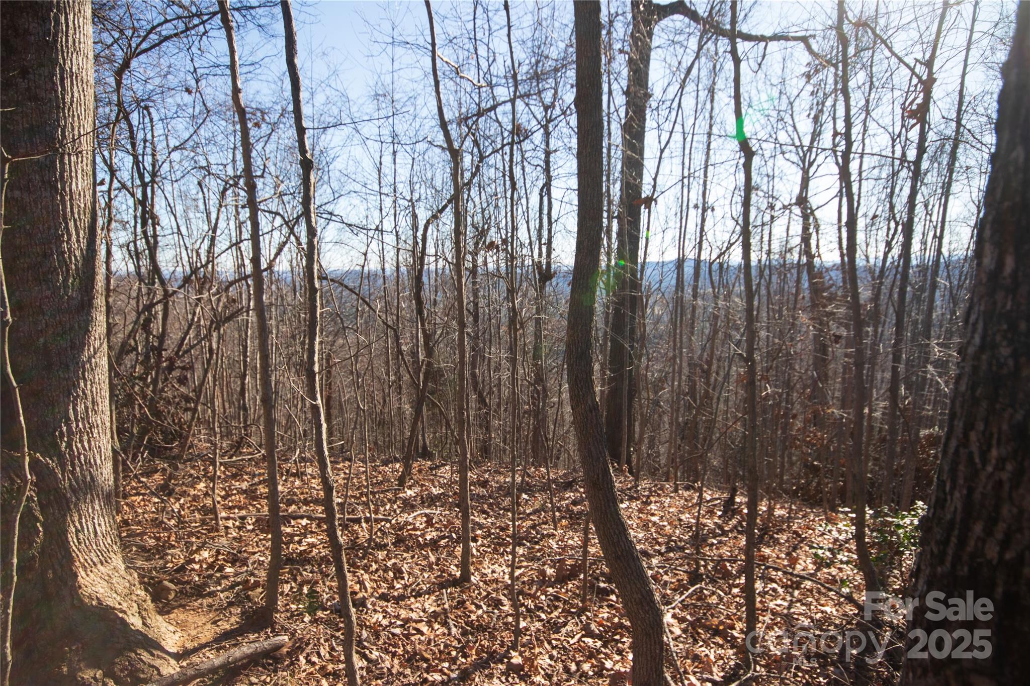 2223 Nighthawk Ridge Court, Unit 18 Lenoir, NC 28645 - Photo 7 of 8