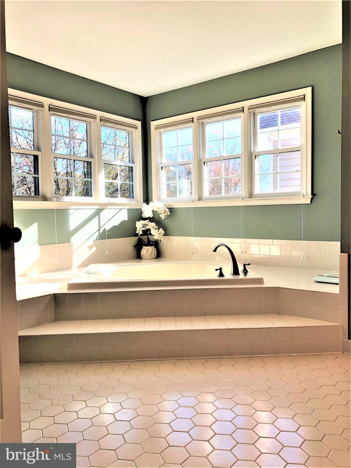 6603 Forsythia Street Springfield, VA 22150 - Photo 19 of 29 Gallery Image 19