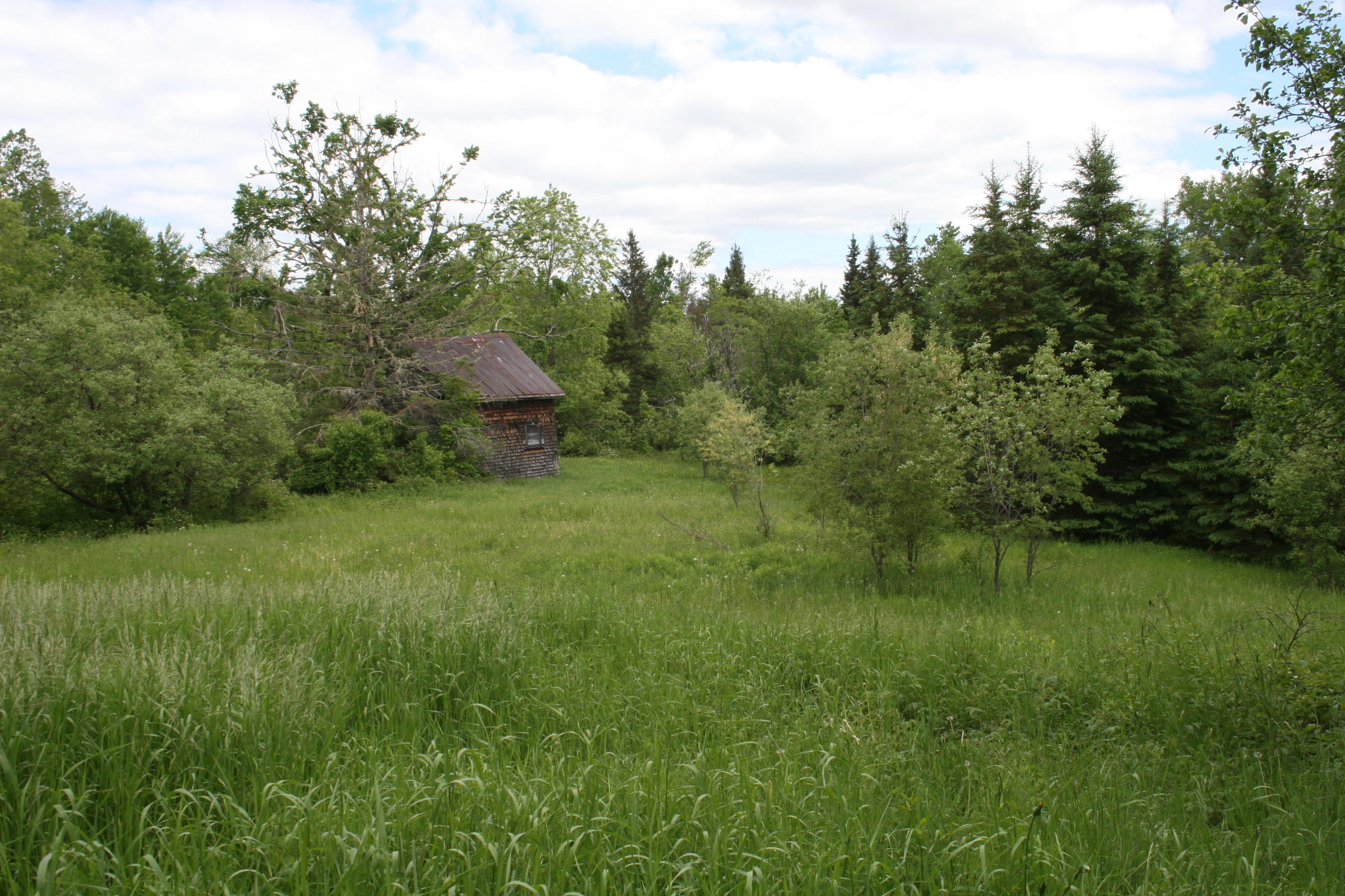 0 Roix Road New Limerick, ME 04761 - Photo 10 of 22 IMG_3602
