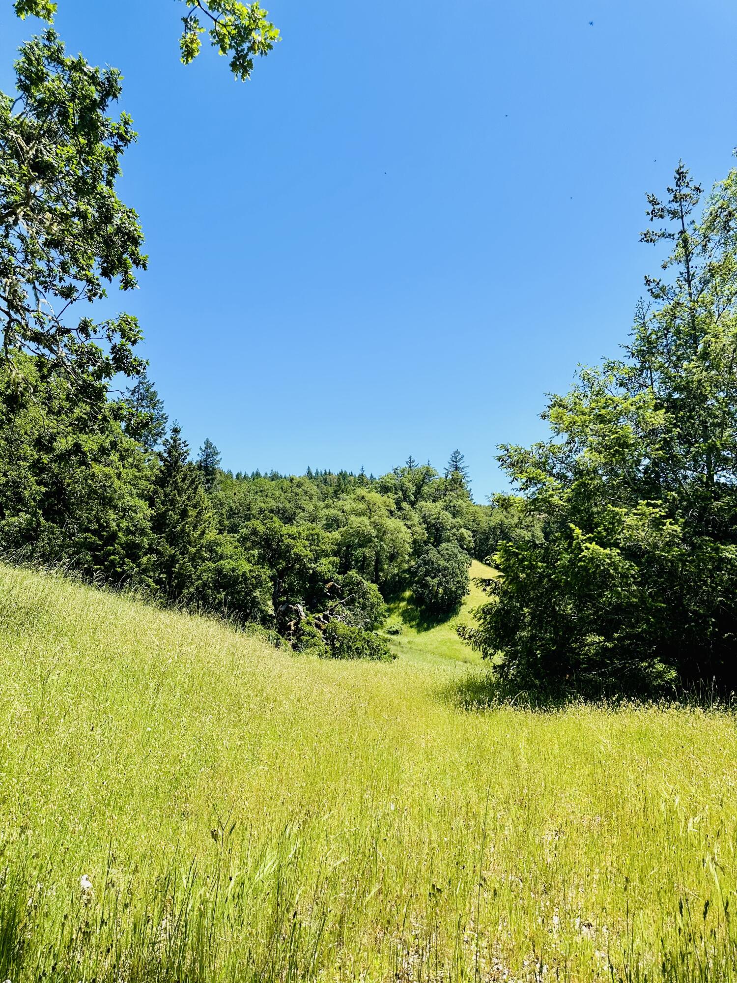 400 Seely Creek Road Redway, CA 95560 - Photo 64 of 73