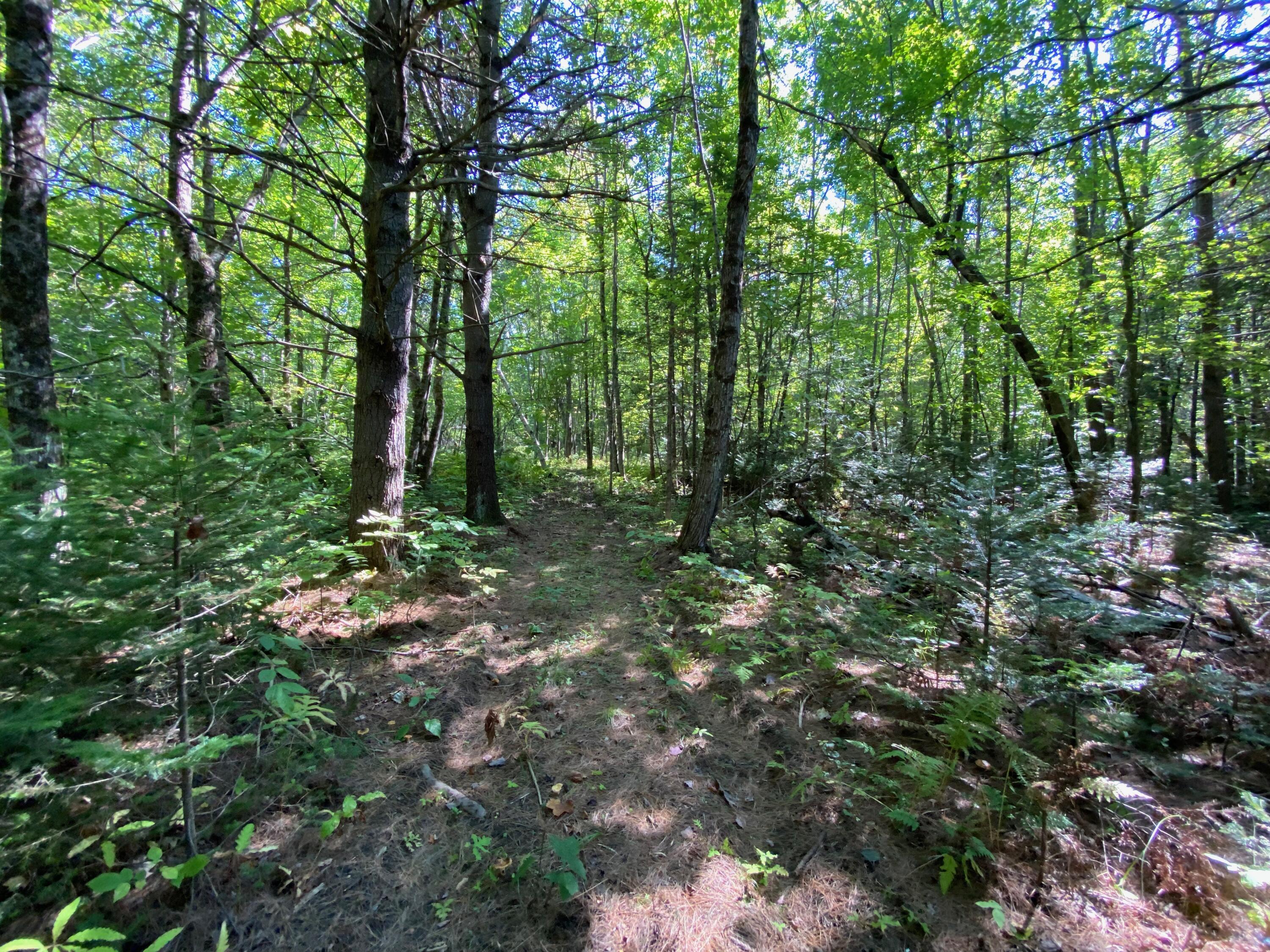 203 North Taylor Road Mount Vernon, ME 04352 - Photo 60 of 98 TRAIL