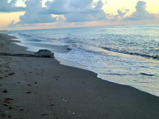 $7,500,000 | 0 Southeast Federal Highway, Jupiter, FL 33469