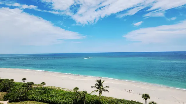 a view of a city with a lake