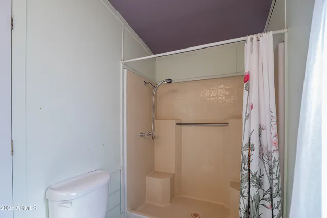 a bathroom with a shower and a toilet