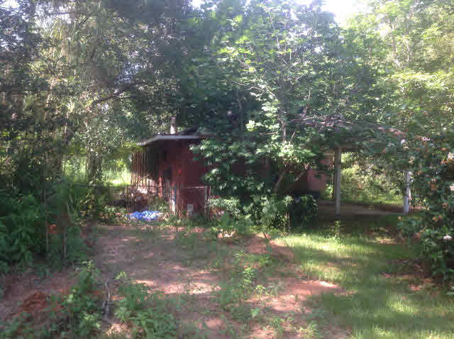19175 St Stephens Road Mount Vernon, AL 36560 - Photo 1 of 1