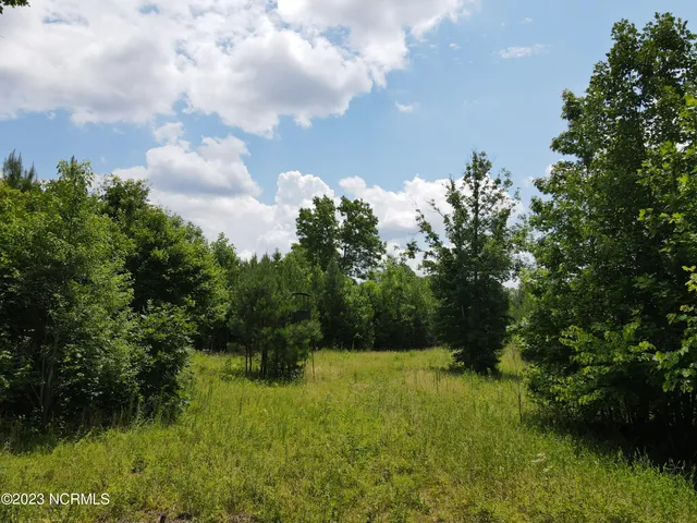 $829,000 | 472 Eaton Ferry Road, Littleton, NC 27850