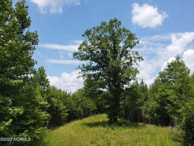 $829,000 | 472 Eaton Ferry Road, Littleton, NC 27850