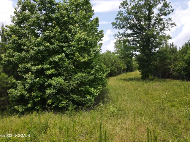 $829,000 | 472 Eaton Ferry Road, Littleton, NC 27850