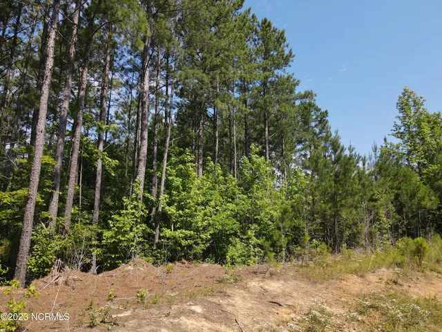 $829,000 | 472 Eaton Ferry Road, Littleton, NC 27850