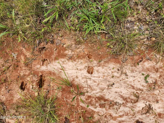 $829,000 | 472 Eaton Ferry Road, Littleton, NC 27850