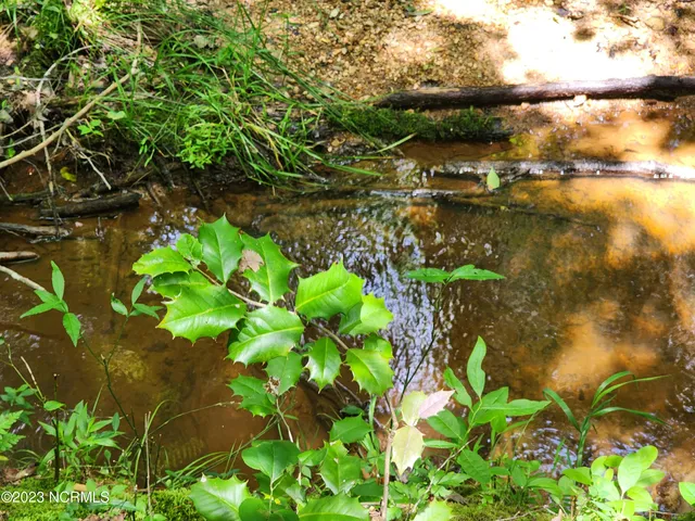 $829,000 | 472 Eaton Ferry Road, Littleton, NC 27850