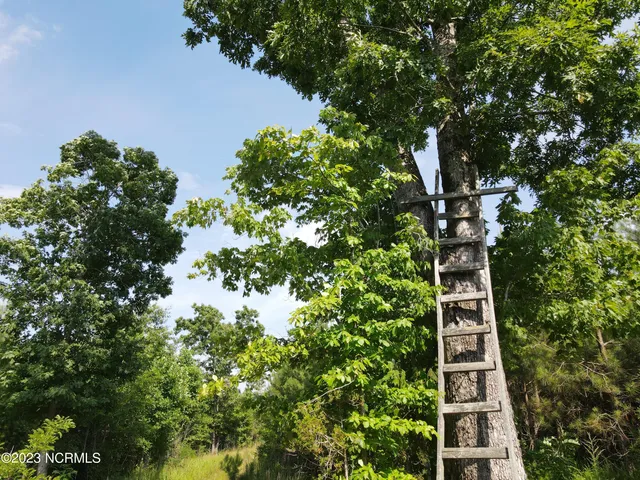 $829,000 | 472 Eaton Ferry Road, Littleton, NC 27850