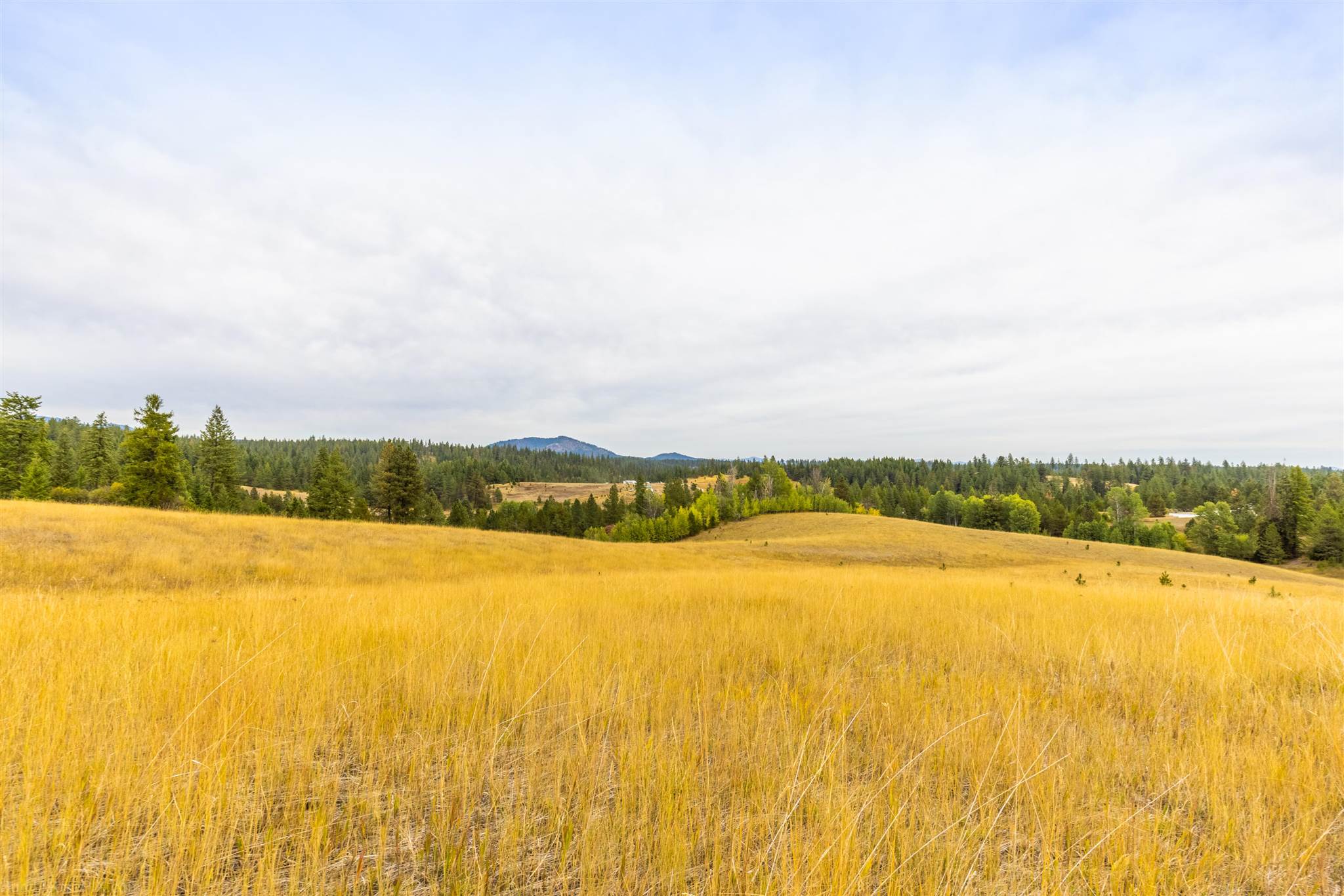 Nna Wagner Road Springdale, WA 99173 - Photo 2 of 24