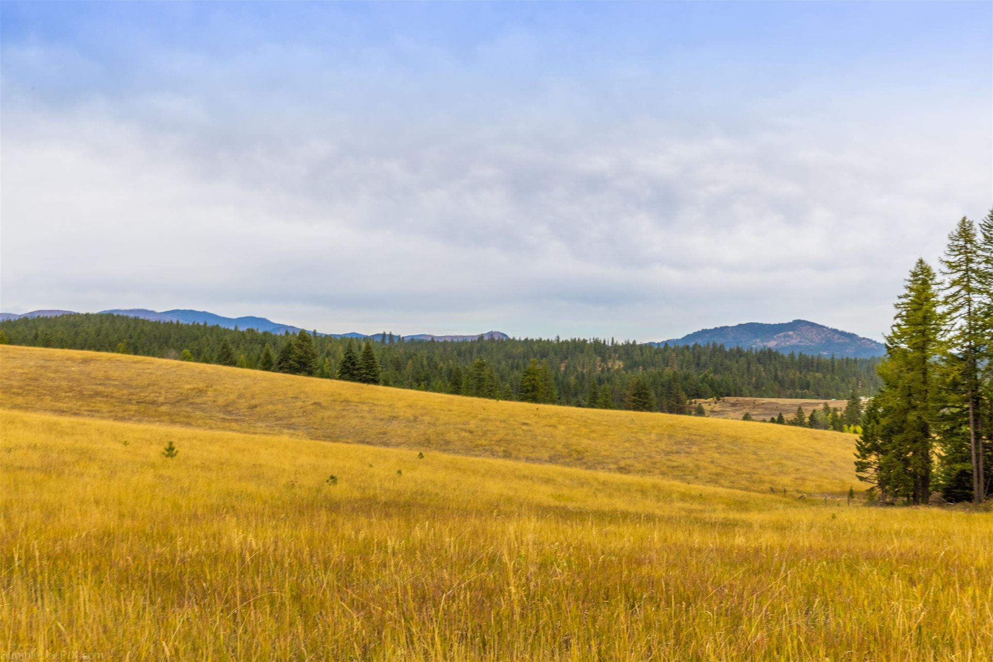 Nna Wagner Road Springdale, WA 99173 - Photo 12 of 24