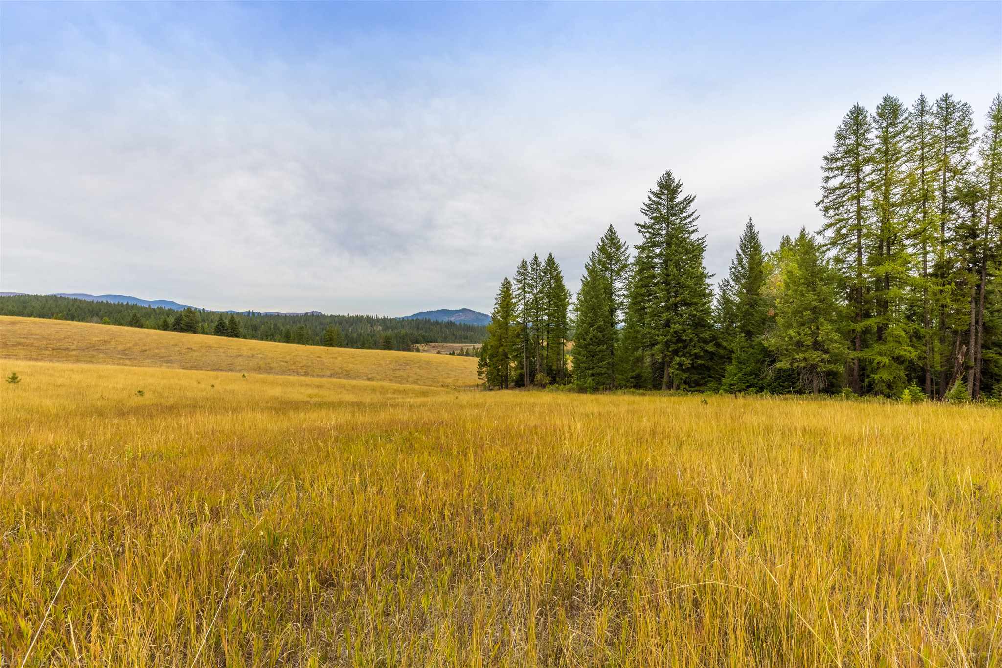 Nna Wagner Road Springdale, WA 99173 - Photo 13 of 24
