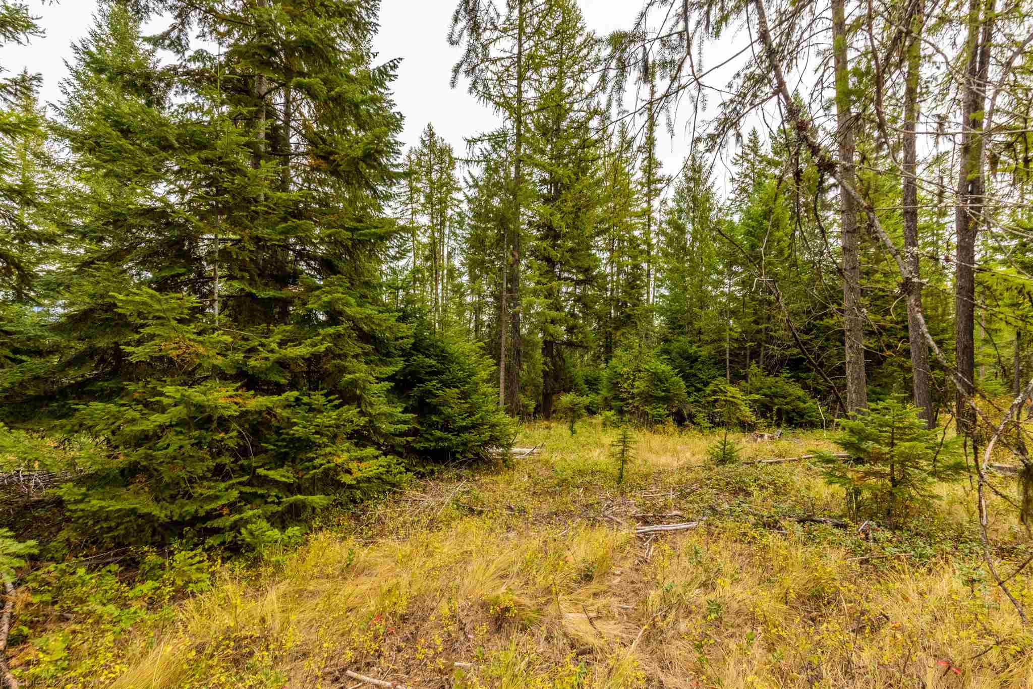Nna Wagner Road Springdale, WA 99173 - Photo 15 of 24