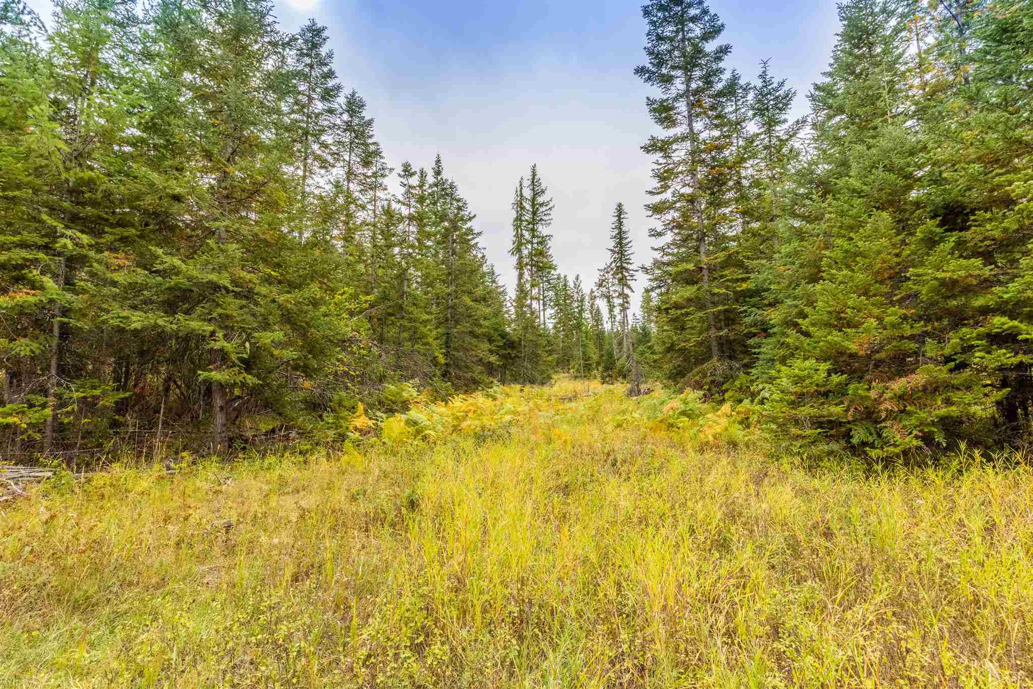 Nna Wagner Road Springdale, WA 99173 - Photo 17 of 24