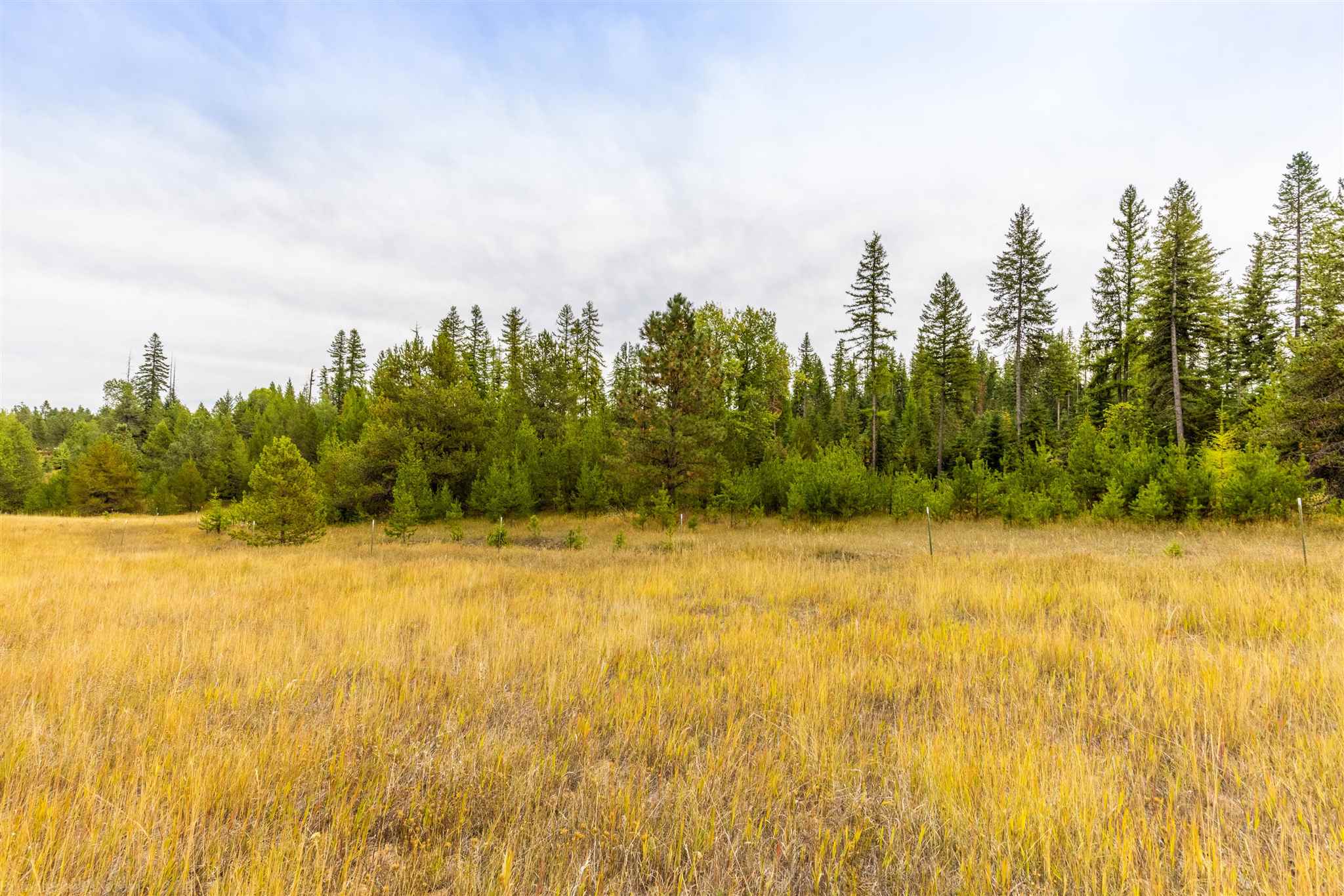 Nna Wagner Road Springdale, WA 99173 - Photo 18 of 24