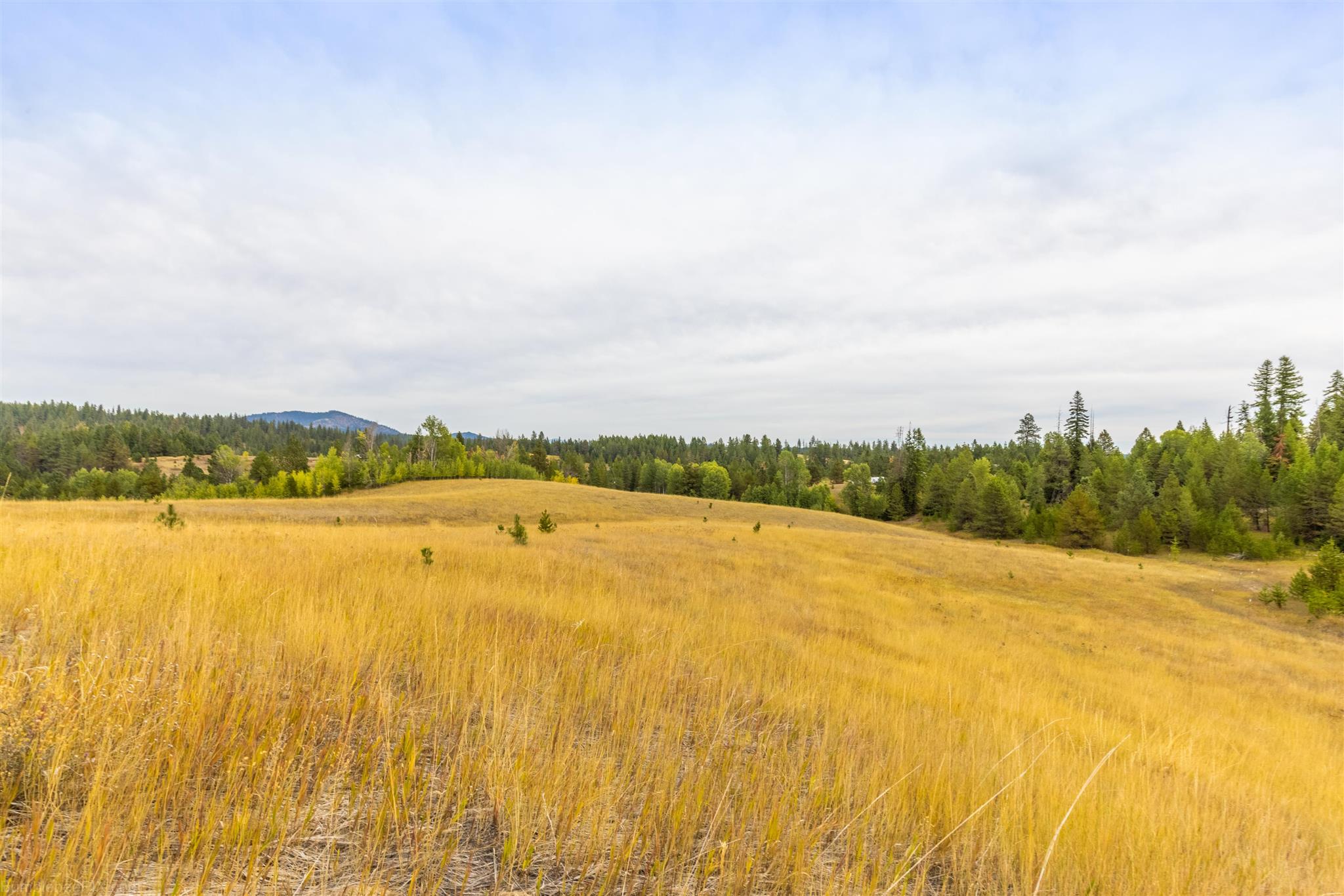 Nna Wagner Road Springdale, WA 99173 - Photo 19 of 24