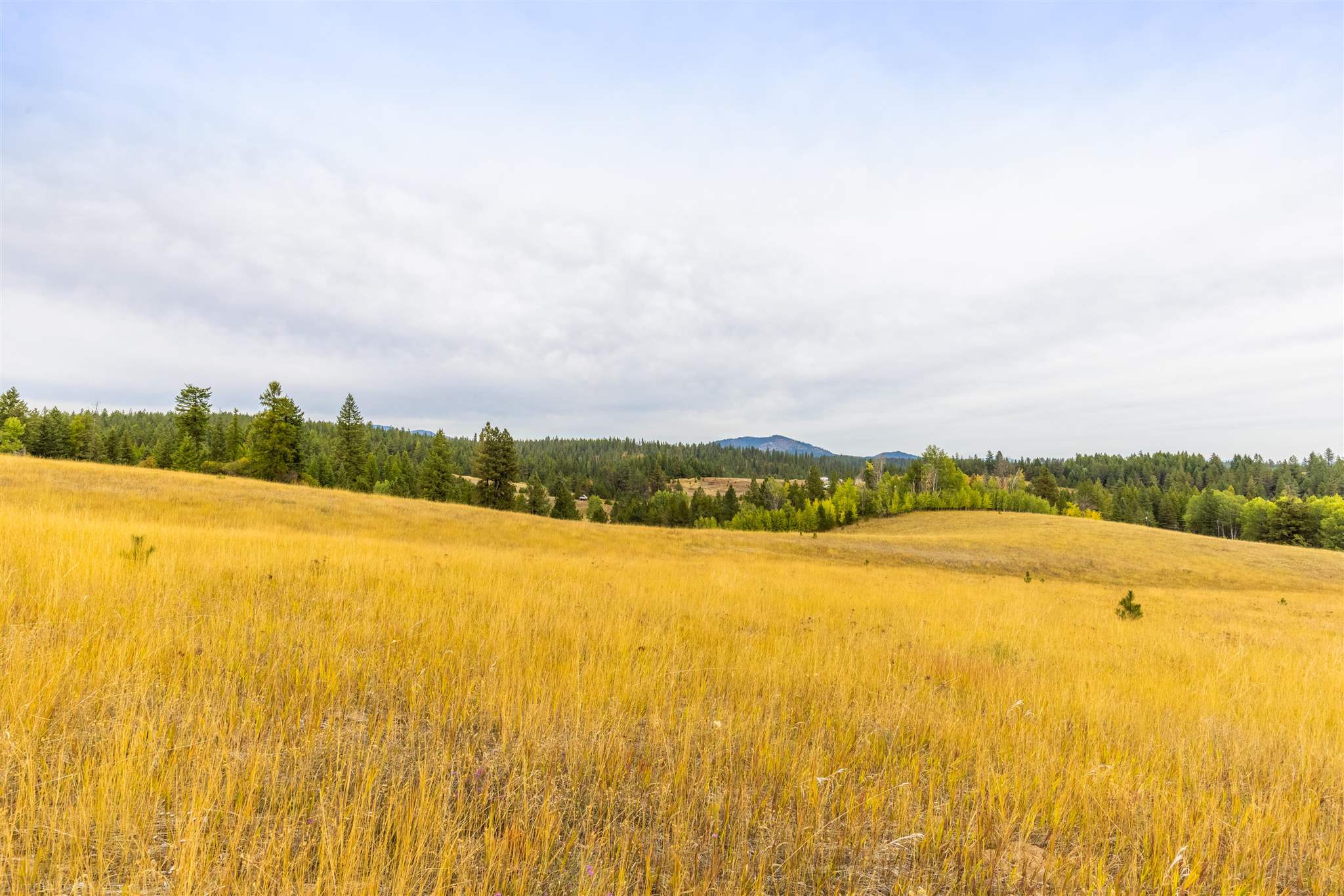 Nna Wagner Road Springdale, WA 99173 - Photo 20 of 24