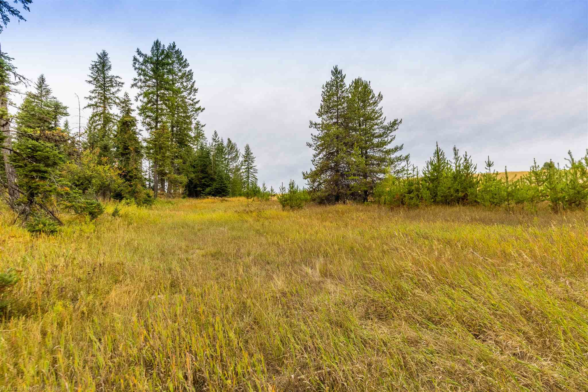Nna Wagner Road Springdale, WA 99173 - Photo 3 of 24