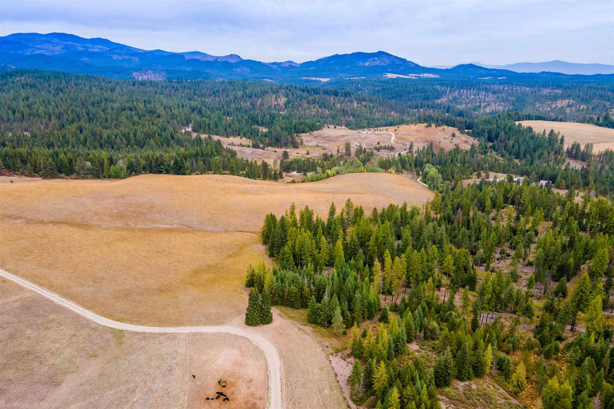 Nna Wagner Road Springdale, WA 99173 - Photo 7 of 24