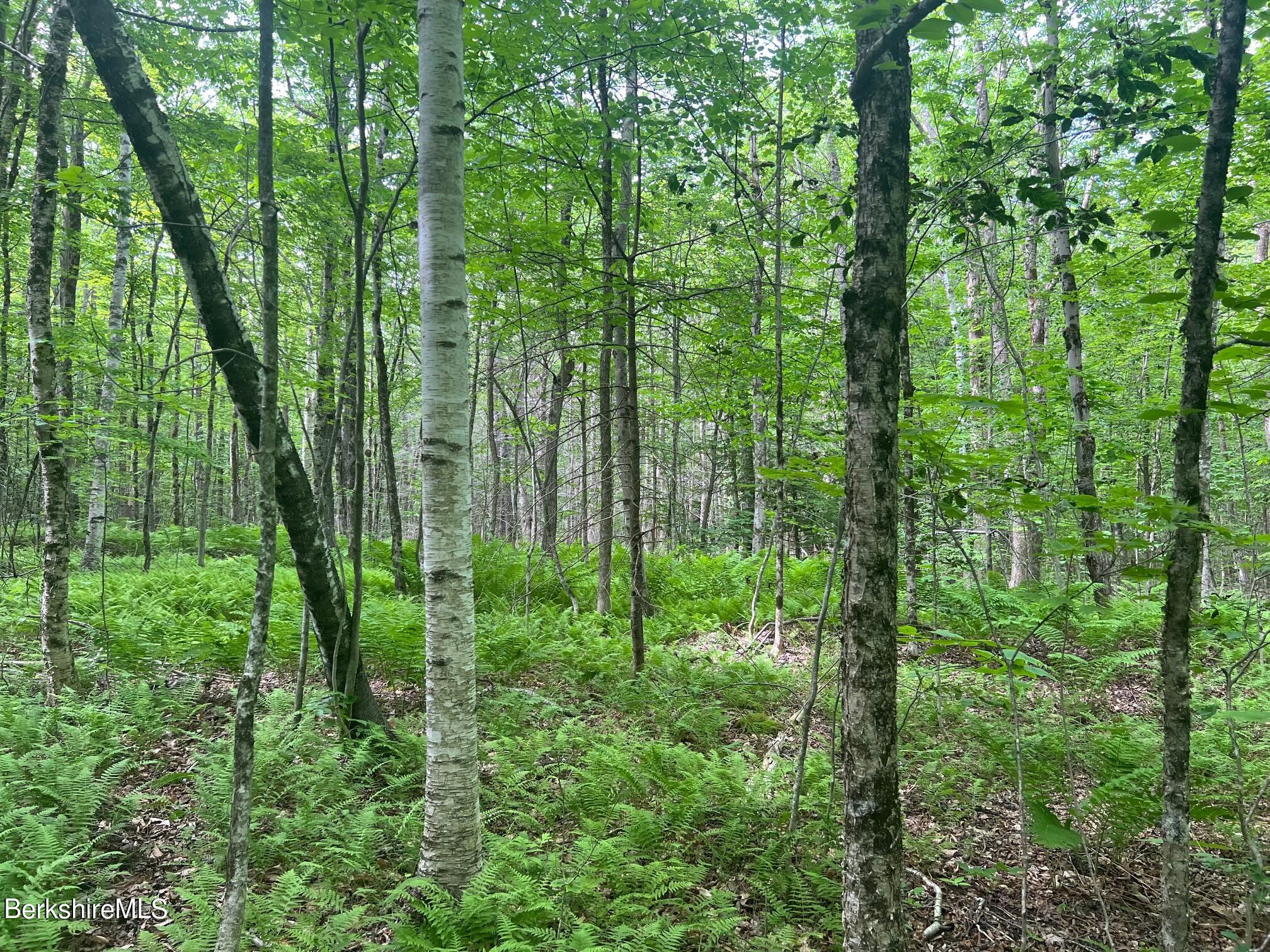 0 Johnny Cake Hill Road Middlefield, MA 01243 - Photo 2 of 12