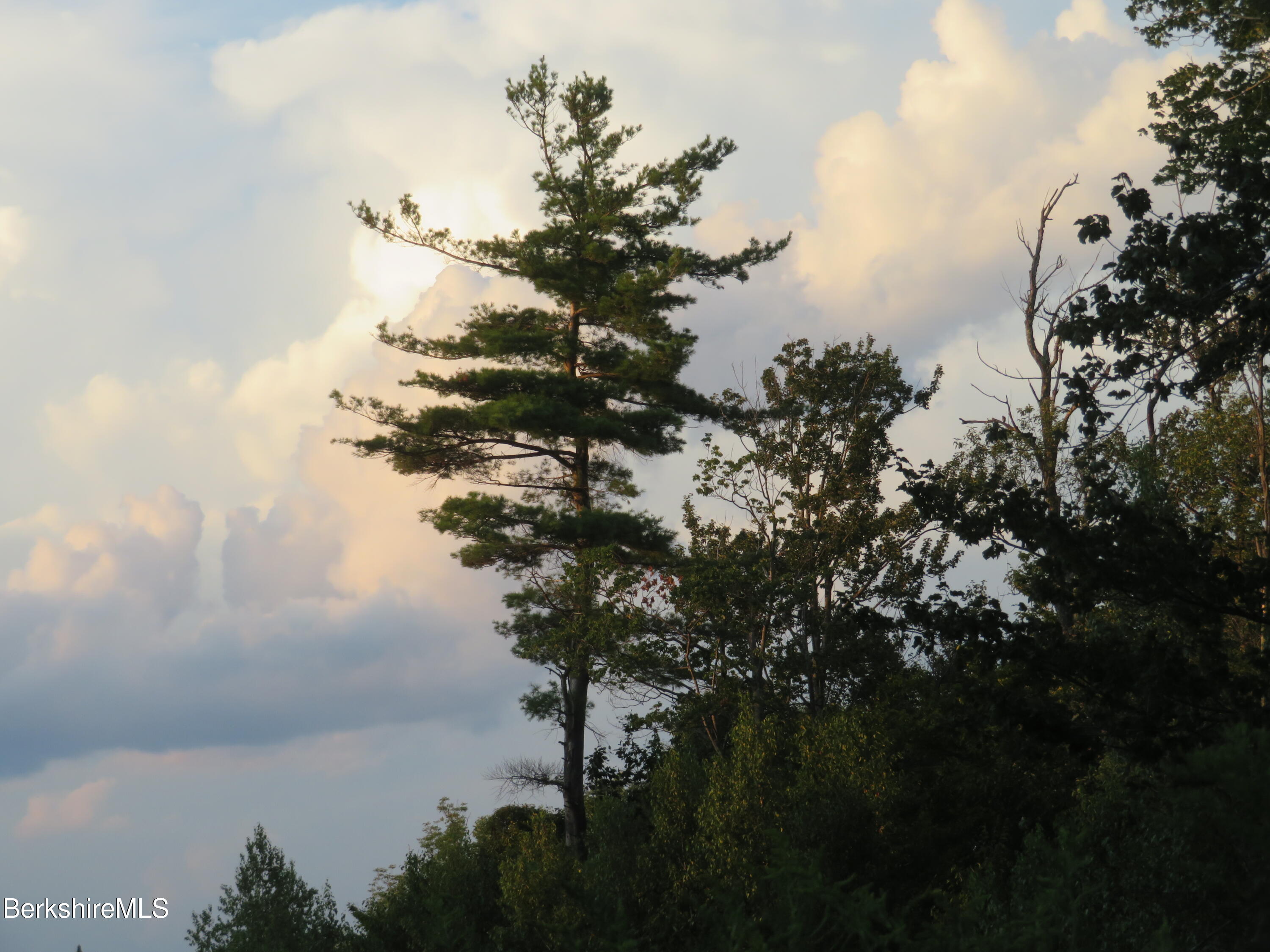 0 Johnny Cake Hill Road Middlefield, MA 01243 - Photo 6 of 12