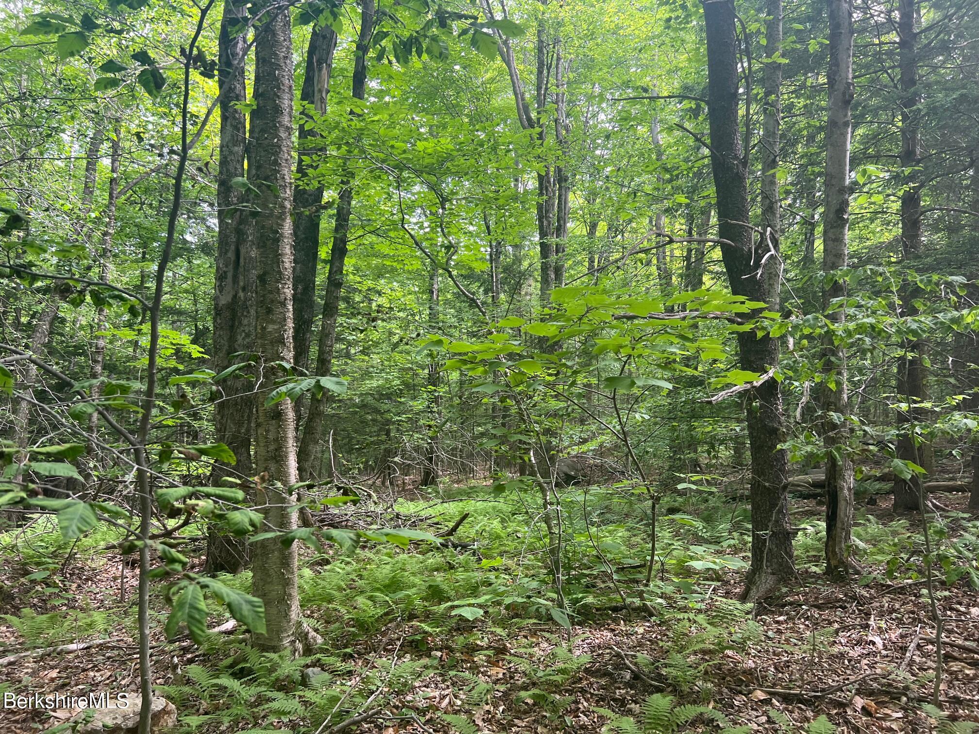 0 Johnny Cake Hill Road Middlefield, MA 01243 - Photo 7 of 12