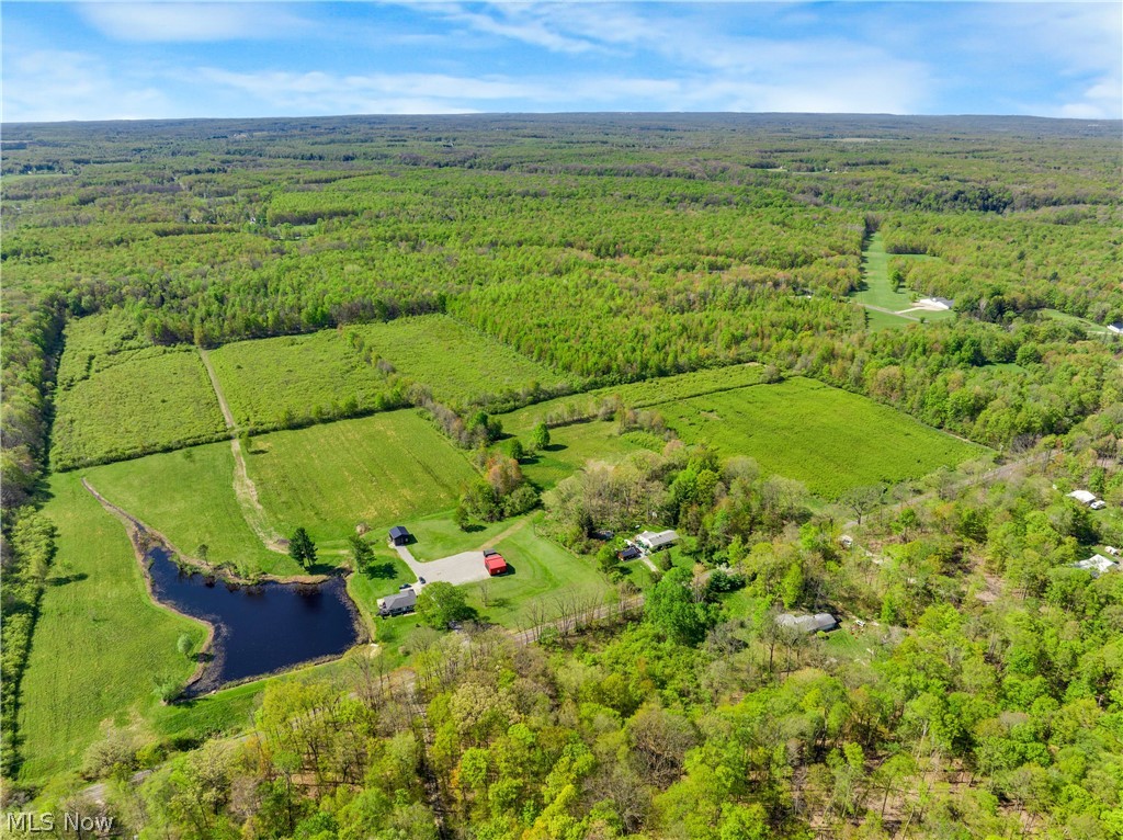 Balch Road Thompson, OH 44086 - Photo 3 of 11 Expansive rural property featuring a large pond, multiple cleared fields, and abundant tree coverage