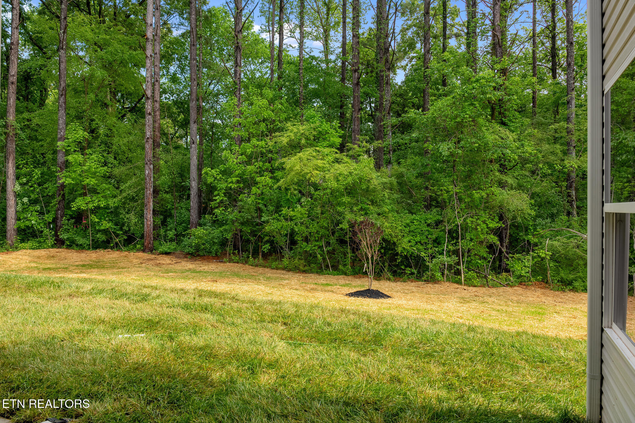 214 Cheeyo Trace Loudon, TN 37774 - Photo 37 of 42 private backyard