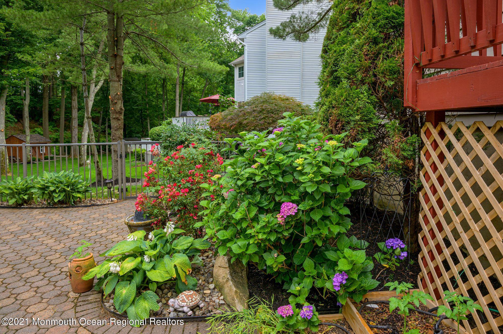 256 Nottingham Road Morganville, NJ 07751 - Photo 40 of 41 a plant that is in front of flowers