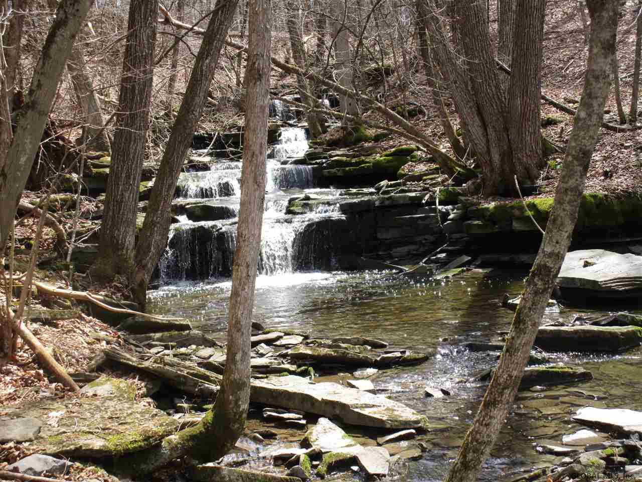 Duanesburg Road Delanson, NY 12053 - Photo 3 of 7 Photo 3