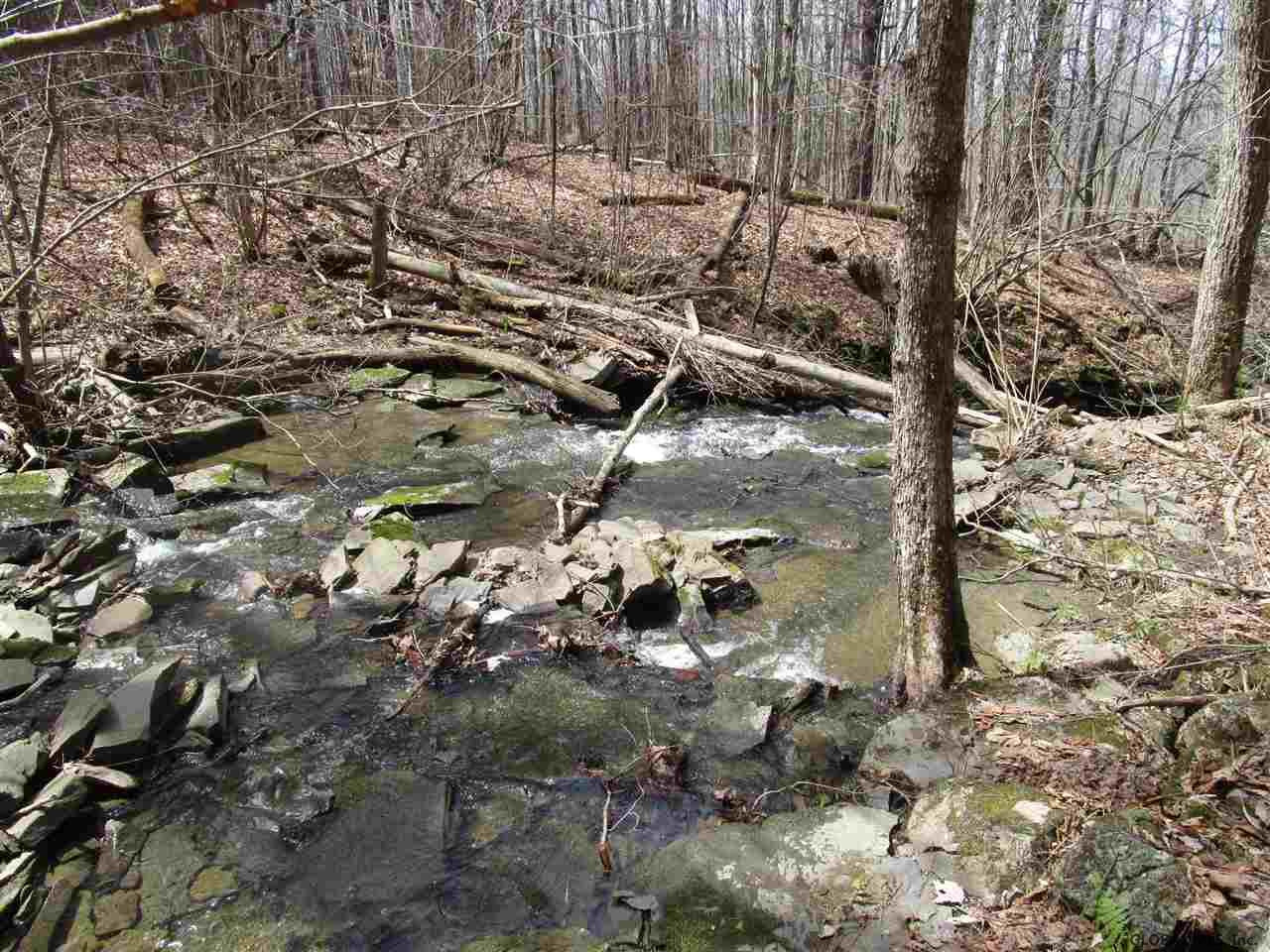 Duanesburg Road Delanson, NY 12053 - Photo 4 of 7 Photo 4