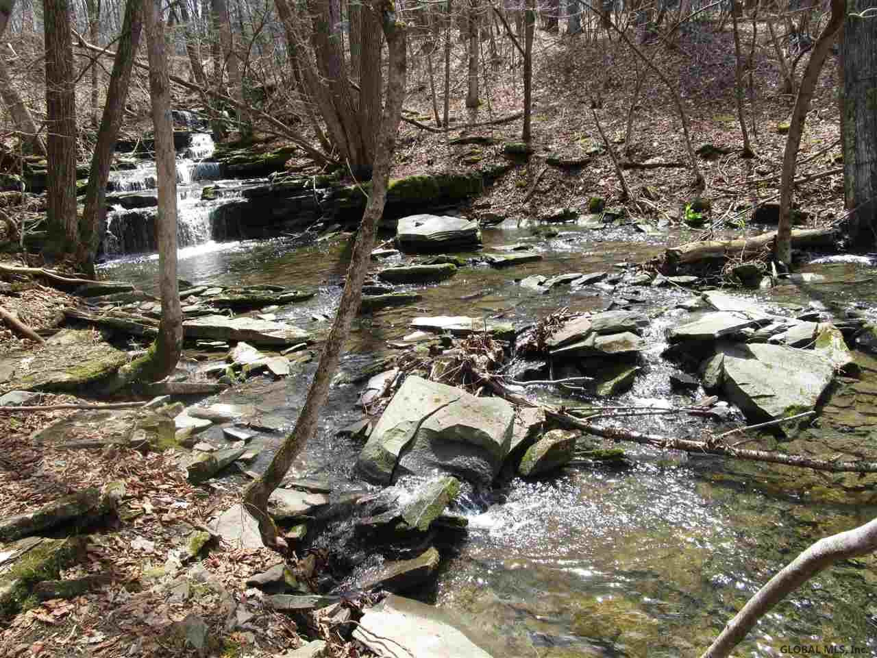 Duanesburg Road Delanson, NY 12053 - Photo 5 of 7 Photo 5