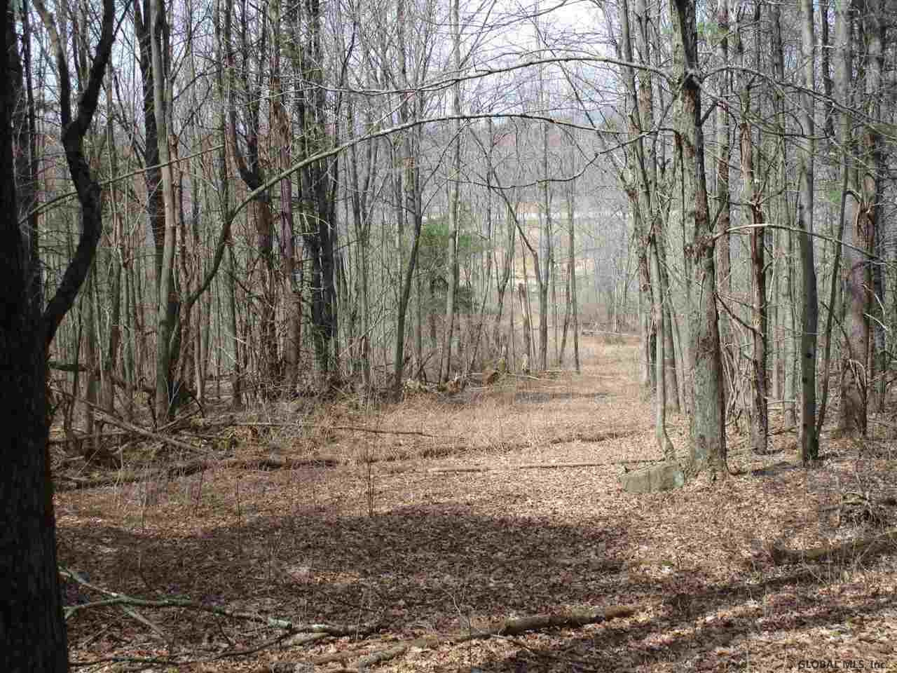 Duanesburg Road Delanson, NY 12053 - Photo 6 of 7 Photo 6